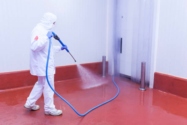 Best Spring Cleaning  in Forney, TX