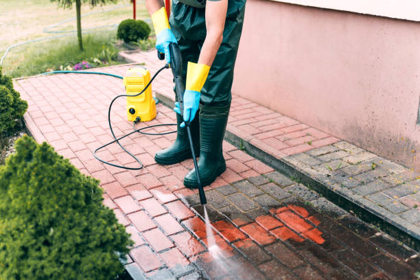 Best Playground Equipment Cleaning  in Forney, TX
