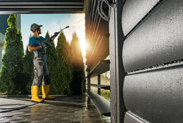 Best Roof Washing  in Forney, TX